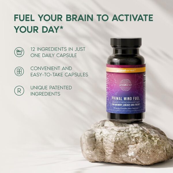 Brain Supplement by Primal Harvest, Primal Mind Fuel Brain Booster for Focus, Energy, Clarity, and Brain Health 30 Capsules Nootropics Brain Support Supplement for Men and Women - Image 5
