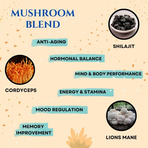 Brain Supplements for Memory & Focus - Nootropic Brain Health - Cognitive Performance, Clarity, Energy, Mental Vigor, Shilajit - Alpha Choline, Lion's Mane, Bacopa, 18 Premium Ingredients - Image 6