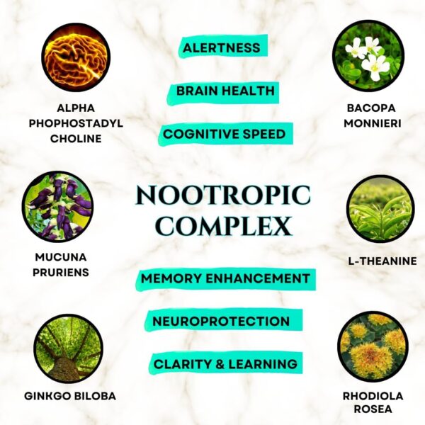 Brain Supplements for Memory & Focus - Nootropic Brain Health - Cognitive Performance, Clarity, Energy, Mental Vigor, Shilajit - Alpha Choline, Lion's Mane, Bacopa, 18 Premium Ingredients - Image 3
