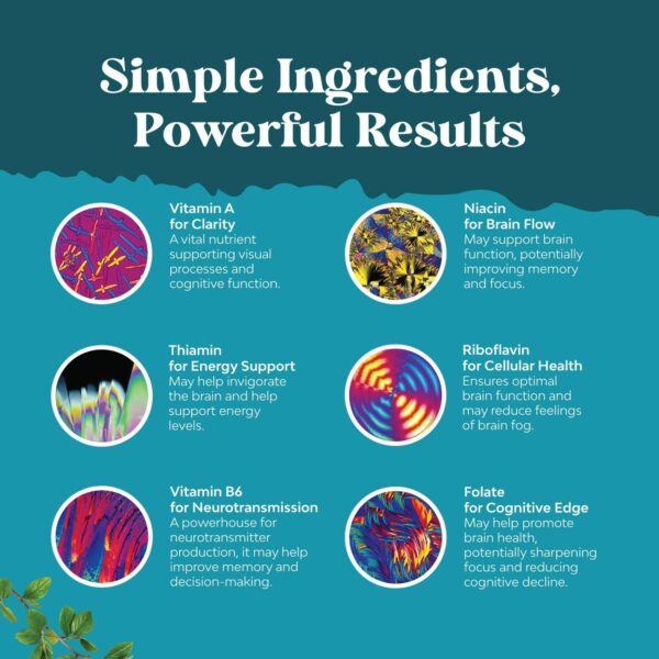 Advanced Nootropics Brain Support Supplement - Synergetic Mental Energy and Focus Supplement with Brain Vitamins for Cognitive Enhancement - Mind and Memory Supplement for Brain Health (30 Servings) - Image 5