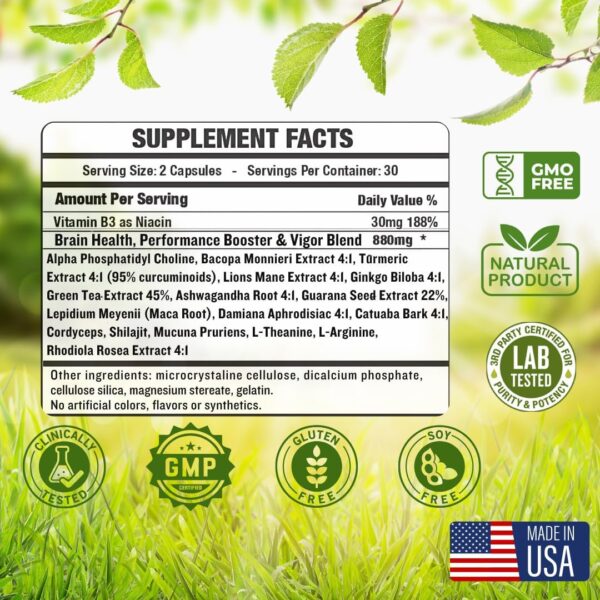 Brain Supplements for Memory & Focus - Nootropic Brain Health - Cognitive Performance, Clarity, Energy, Mental Vigor, Shilajit - Alpha Choline, Lion's Mane, Bacopa, 18 Premium Ingredients - Image 4