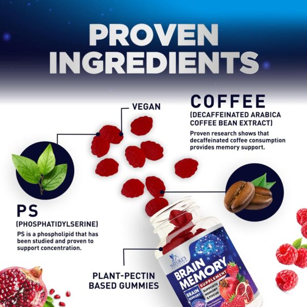Brain Supplement Gummies for Concentration Memory & Focus Support - Brain Clarity Health with B6 B12, Phosphatidylserine, Coffee Extract, Nootropics Cognitive Vitamins for Adults - 60 Vegan Gummies - Image 3