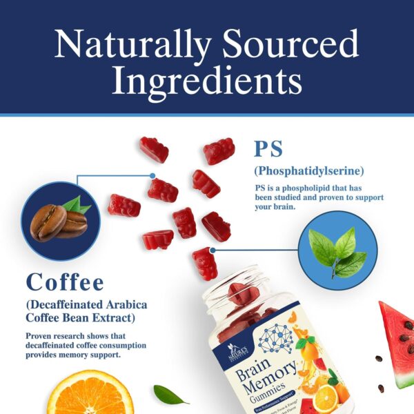 Brain Supplements for Memory, Focus, Concentration - Brain Gummy Vitamin Plus Nootropics, Phosphatidylserine, B6 & B12, Caffeine Free Nootropic, Clarity & Memory Support Supplement - 60 Gummies - Image 3
