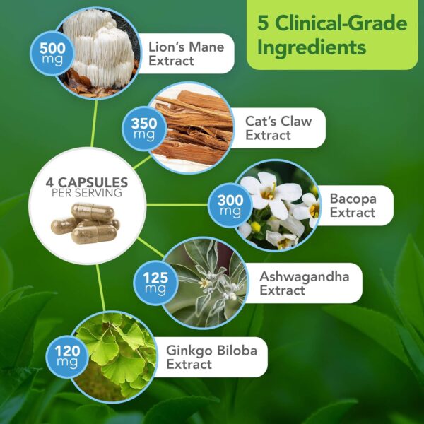 Brain Boost Supplement by Dr. Bill Rawls – Brain Boosting Capsules w/Lion’s Mane, Cat’s Claw, Bacopa, Sensoril Ashwagandha & Ginkgo Biloba - Image 4