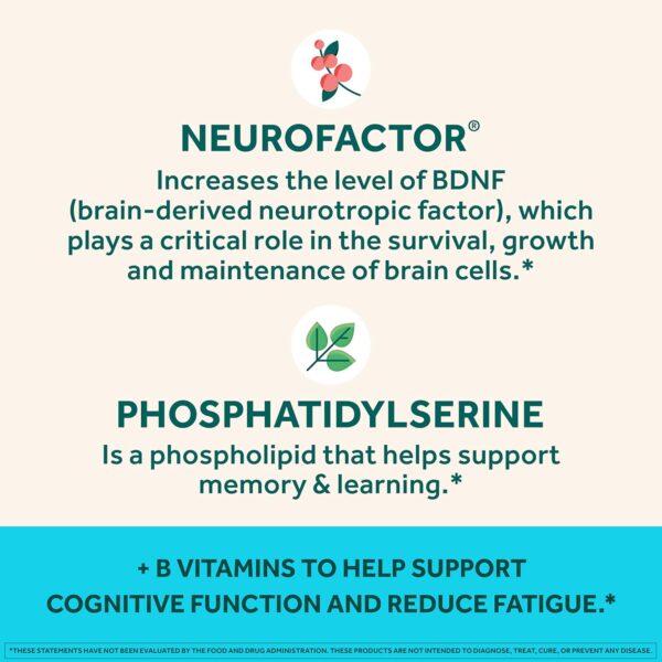 NEURIVA Plus Brain Supplement for Memory,Focus & Concentration+Cognitive Function with Vitamins B6 & B12 and Clinically Tested Nootropics Phosphatidylserine and Neurofactor,50ct Strawberry Gummies - Image 5
